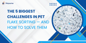 The 5 Biggest Challenges in PET Flake Sorting — and How to Solve Them