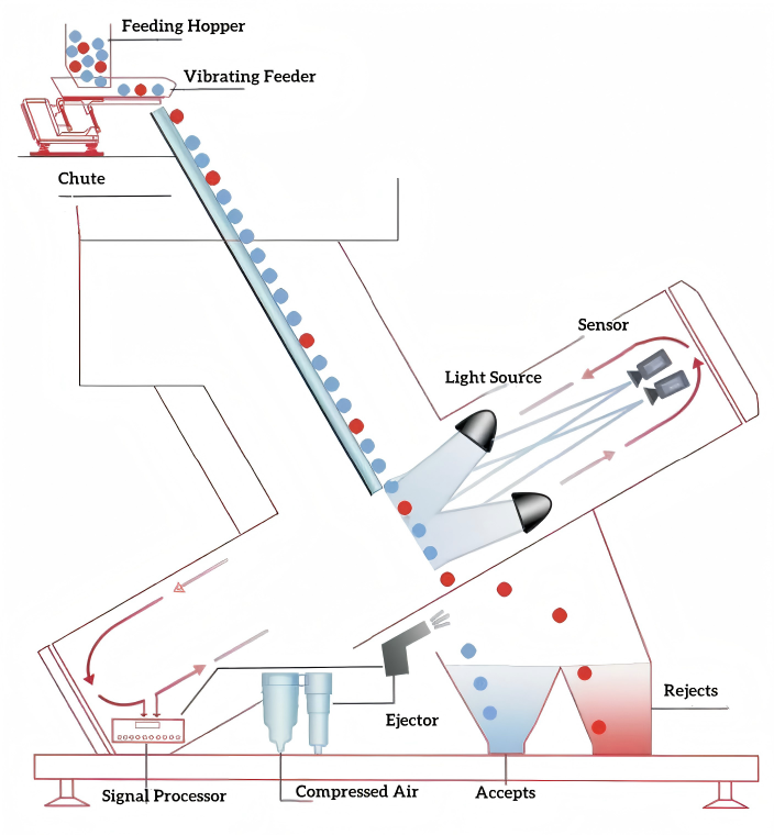 Multi-sensor sorting platform combining visible light cameras and NIR sensors