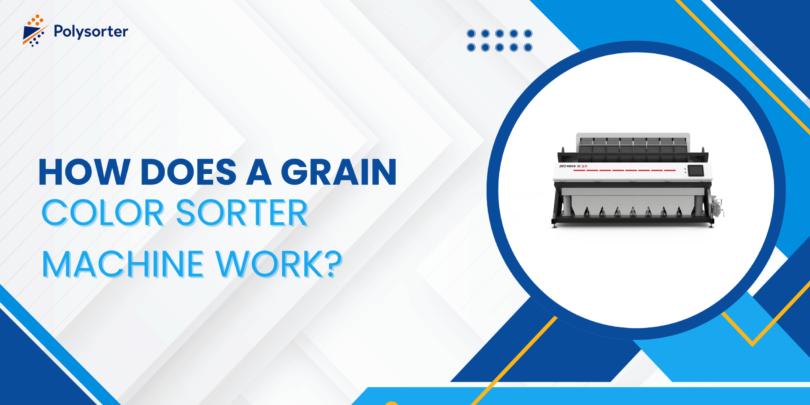 How Does a Grain Color Sorter Machine Work
