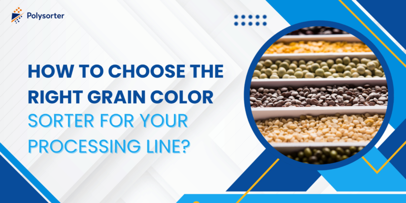 How to Choose the Right Grain Color Sorter for Your Processing Line