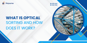 What Is Optical Sorting and How Does It Work