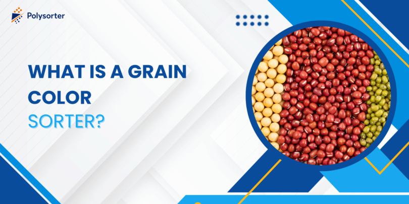 What Is a Grain Color Sorter