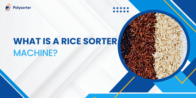What Is a Rice Sorter Machine