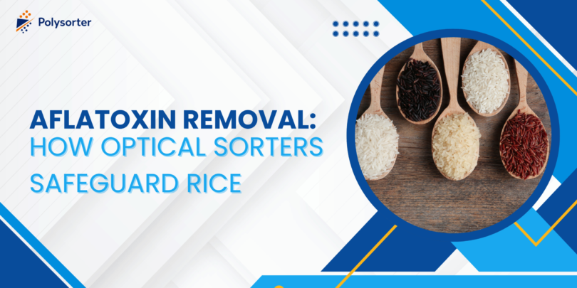 Aflatoxin Removal How Optical Sorters Safeguard Rice