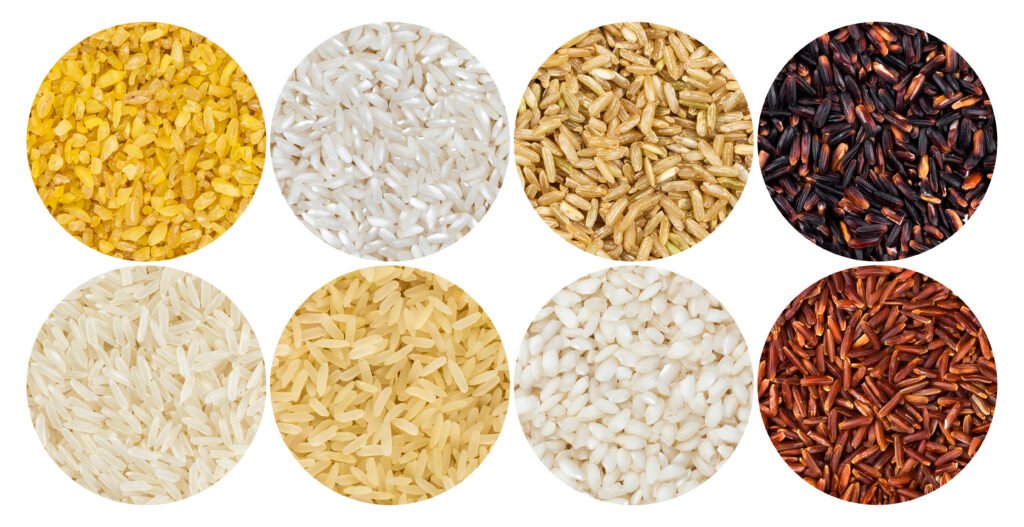 variety-of-rice-grains-a-culinary-staple-scaled
